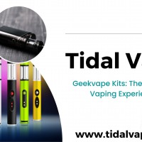 GEEK BAR DISPOSABLE POD DEVICE: Unleash the Ultimate Vaping Experience