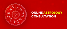 Are you Looking For Online Astrologer Consultant?