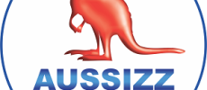 Migration Agent & Education Consultants in Australia – Aussizz Group