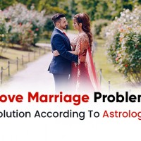 Are you Tired of your love marriage problems?